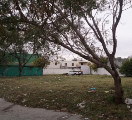 Diseno-sin-titulo-1-3