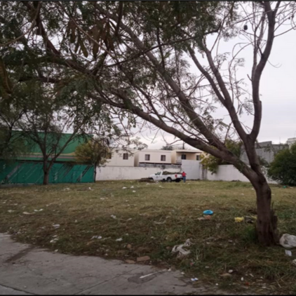 TERRENO GUADALUPE AV. DIA DEL EMPRESARIO 1,134M2 RENTA